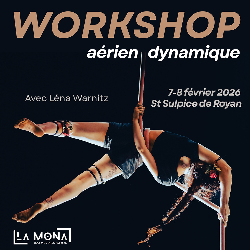 Workshop Aérien dynamique - Léna Warnitz
