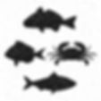 Fish Packed Meals