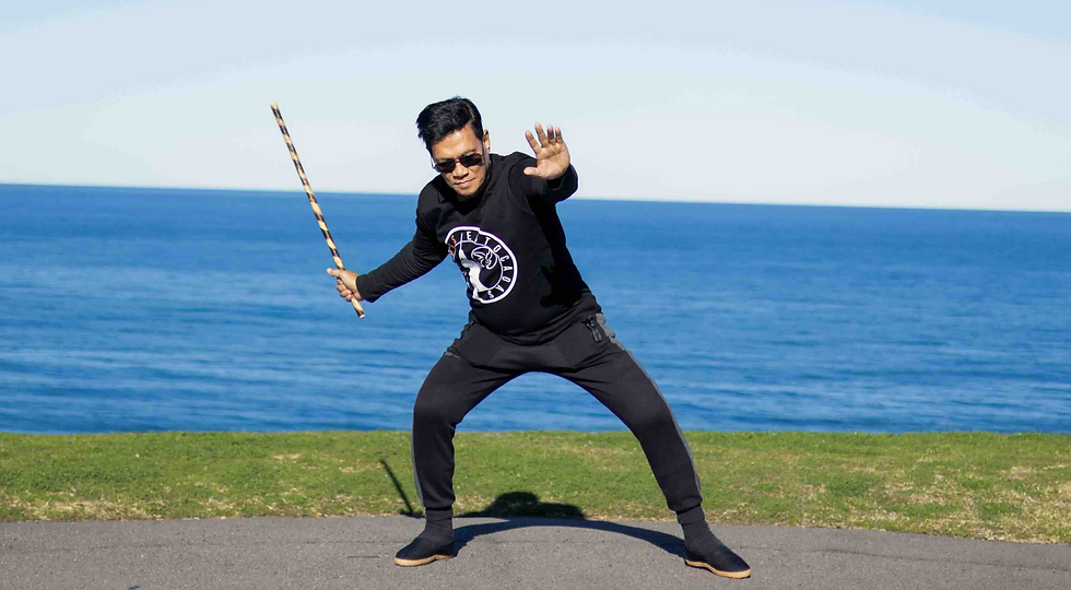 BES Opensa 3_edited.png