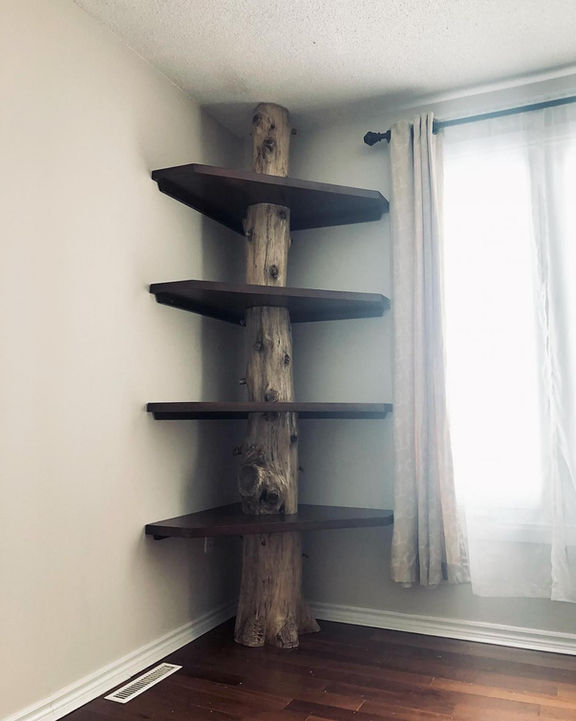 This is a picture of a bookshelf made from a large tree limb. It has 4 floating shelves and stands majestically in the corner