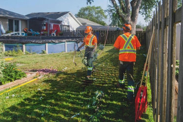 find a emergency tree services company_gallery