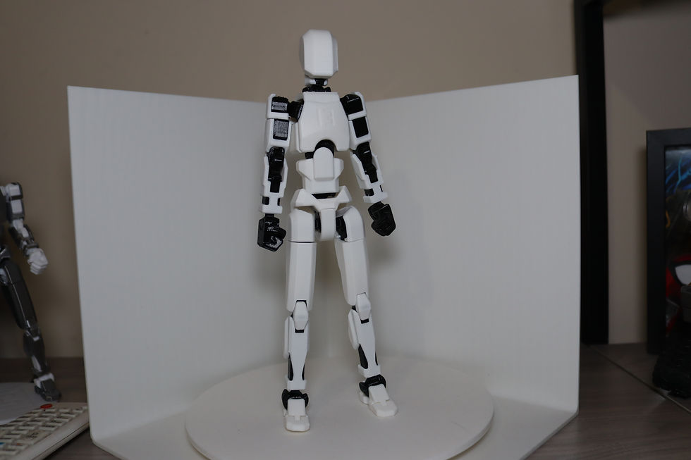 Thumbnail: Dummy 13 V2 articulated figure