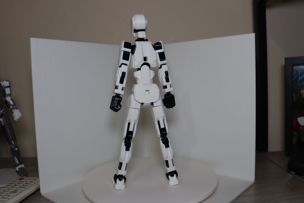 Thumbnail: Dummy 13 V2 articulated figure