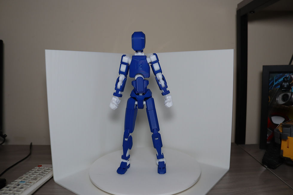 Thumbnail: Dummy 13 V2 articulated figure