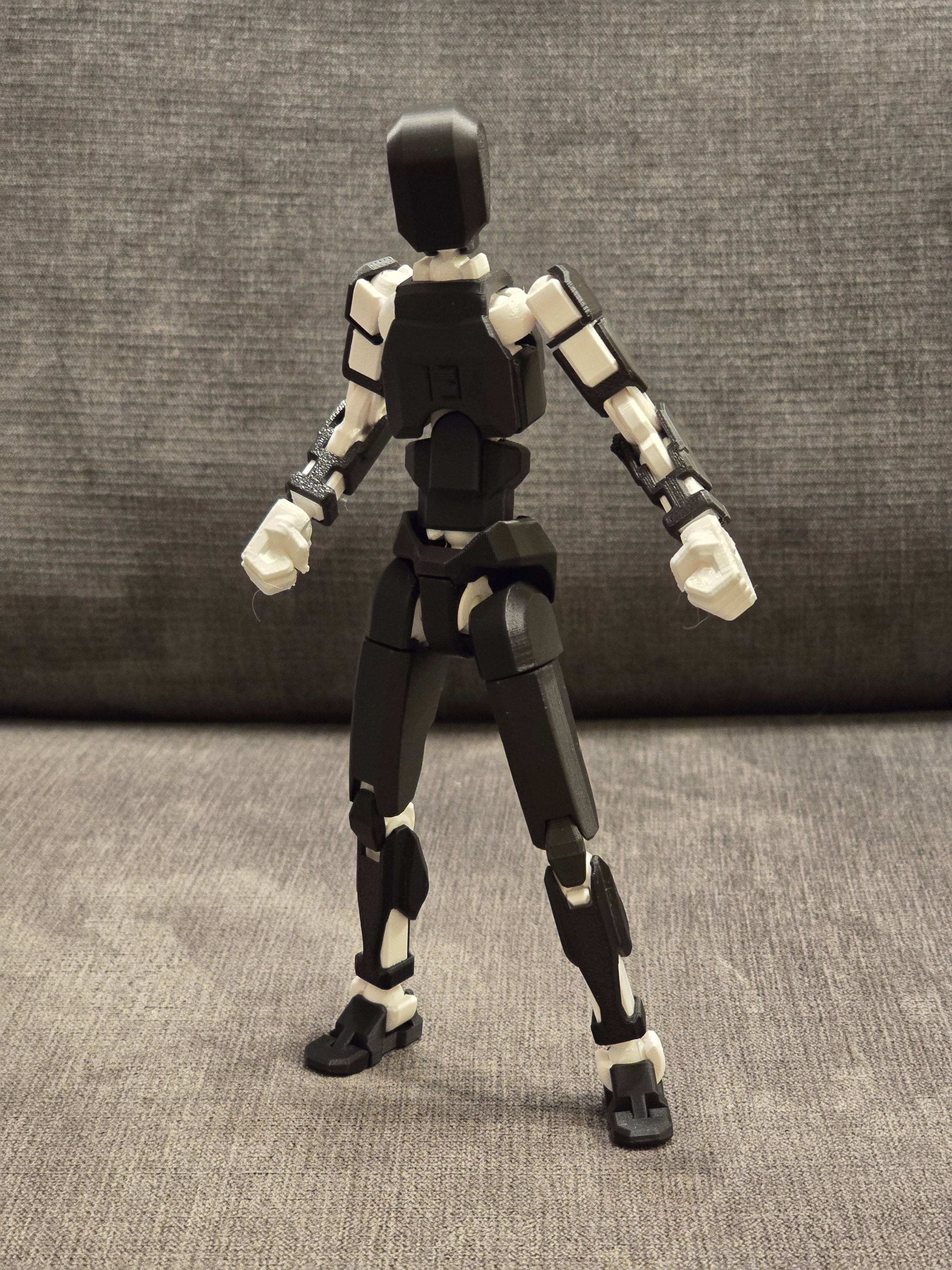 Dummy 13 V2 articulated figure