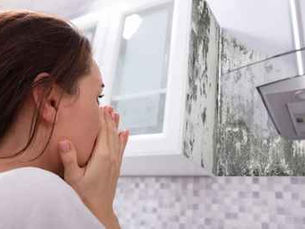 How Fast Mold Grows After Water Damage & Why Immediate Action Matters