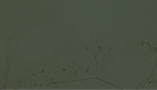 Group 42.png