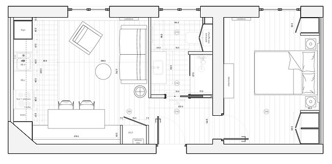 plan appart Fabien.jpg