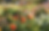 Screenshot 2025-06-23 184657.png