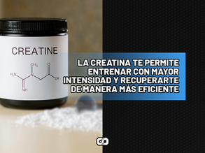 Creatina: ¿Qué es, para qué sirve y quién puede tomarla?