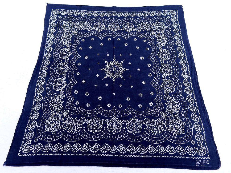 Thumbnail: close up vintage dark blue bandana white print