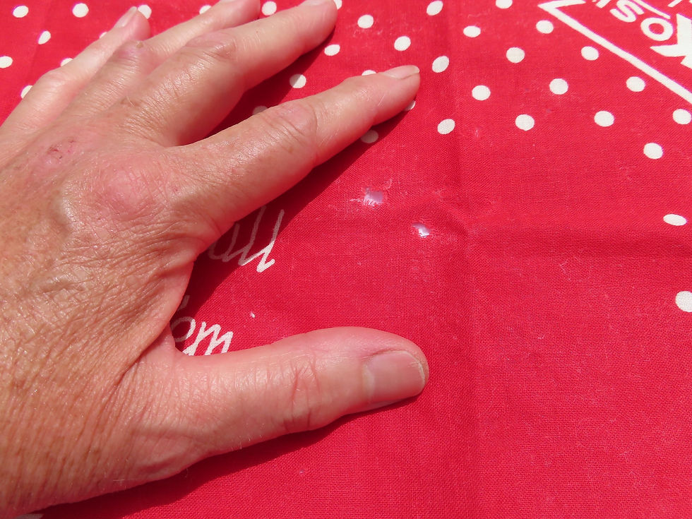 Thumbnail: closeup of holes on vintage red bandana