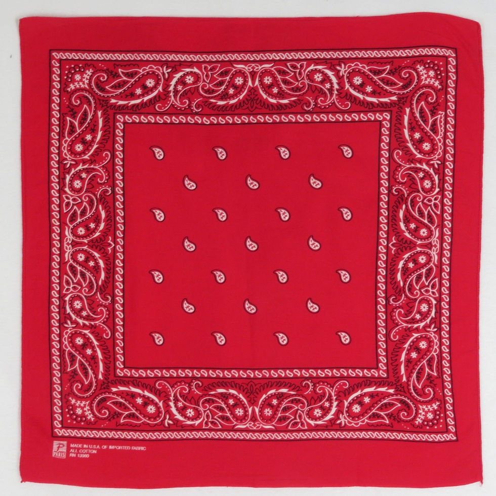 Vintage red paisley bandana from the 1990s
