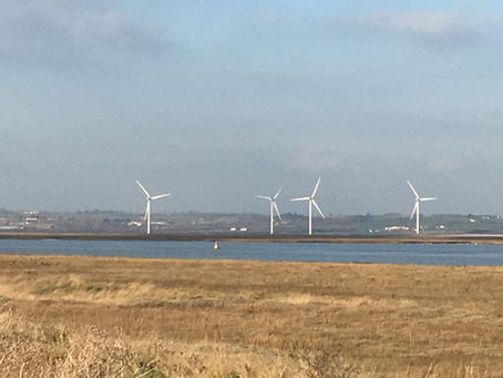 A Green New Year blows in on Sheppey