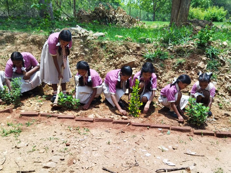 Govtmiddle School Chainpur (GSC)