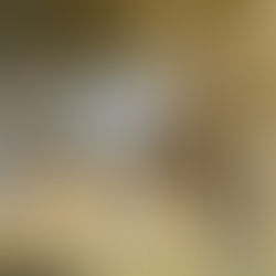 Texas Exotic Hunting Experience