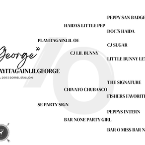 "George" SOLD