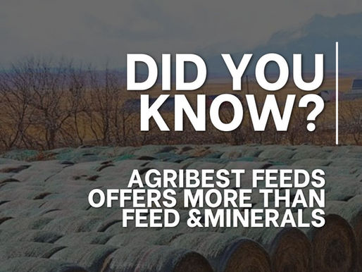 Did You Know? AgriBest Feeds Offers More Than Just Feed and Minerals