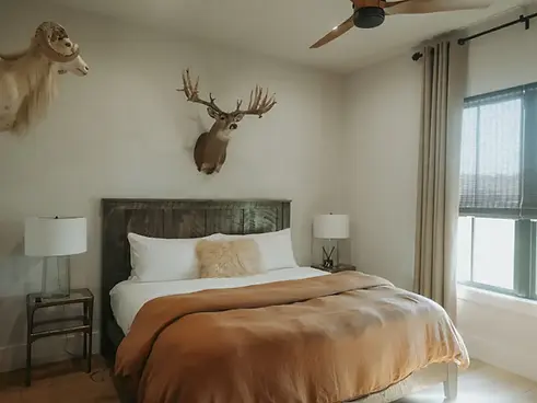 DEER-CAMP-SUITE-15opti.webp