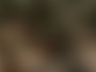 Vara Ranch Holiday Gift Guide