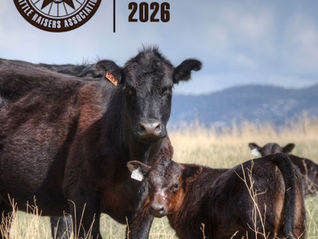 Expanding South: Agri-Best Feeds Heads to Cattle Raisers Convention Expo 2026