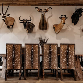The Ultimate Guide to Hunting at Vara Ranch: Where Legends Hunt