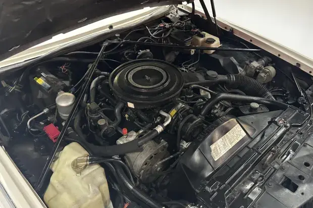 Thumbnail: 1984 Cadillac Eldorado Biarritz Convertible