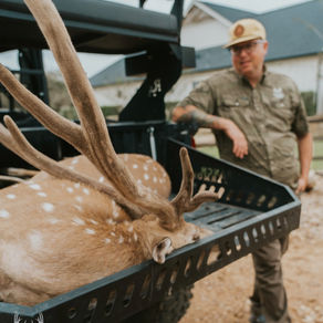 Spring Belongs to Axis