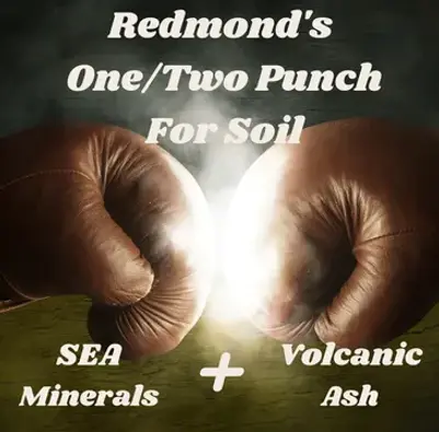 one two punch