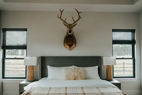 Executive Suite.webp