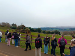 WhatsApp Image 2025-02-17 at 10.02.10