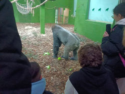 WhatsApp Image 2025-02-17 at 09.58.04 (2)