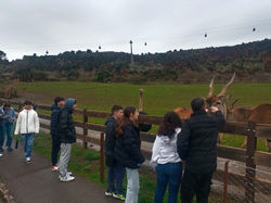 WhatsApp Image 2025-02-17 at 09.58.08 (4)