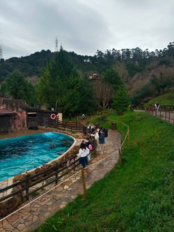 WhatsApp Image 2025-02-17 at 09.58.03