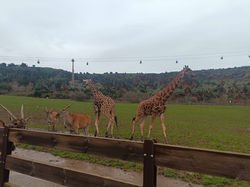 WhatsApp Image 2025-02-17 at 09.58.07 (1)