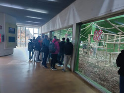 WhatsApp Image 2025-02-17 at 09.58.08 (2)