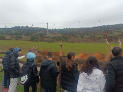 WhatsApp Image 2025-02-17 at 09.58.07