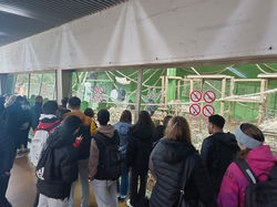 WhatsApp Image 2025-02-17 at 09.58.06 (1)