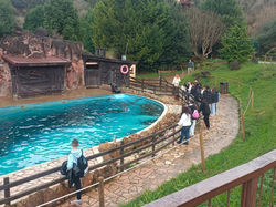 WhatsApp Image 2025-02-17 at 09.58.04