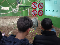 WhatsApp Image 2025-02-17 at 09.58.04 (1)