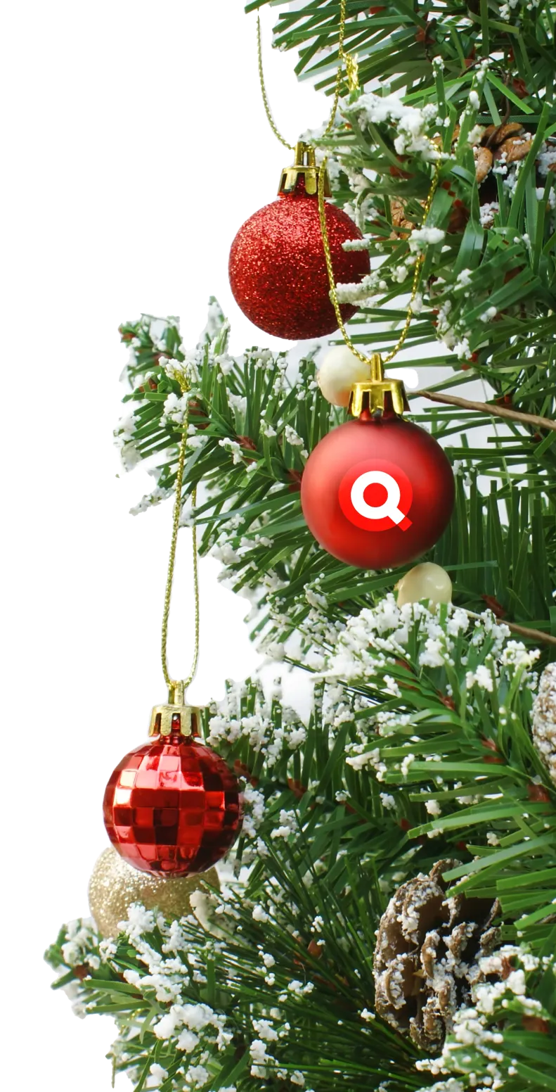 Kerstboom QIT online