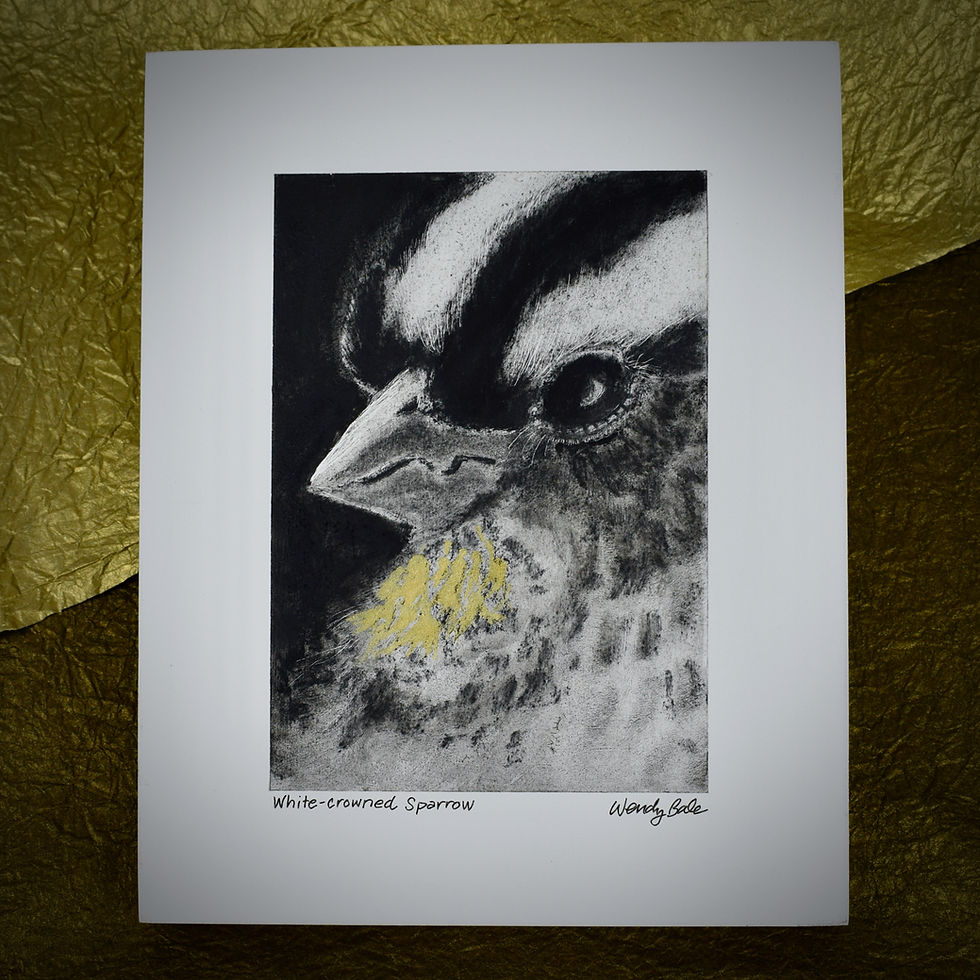Thumbnail: White-Crowned Sparrow