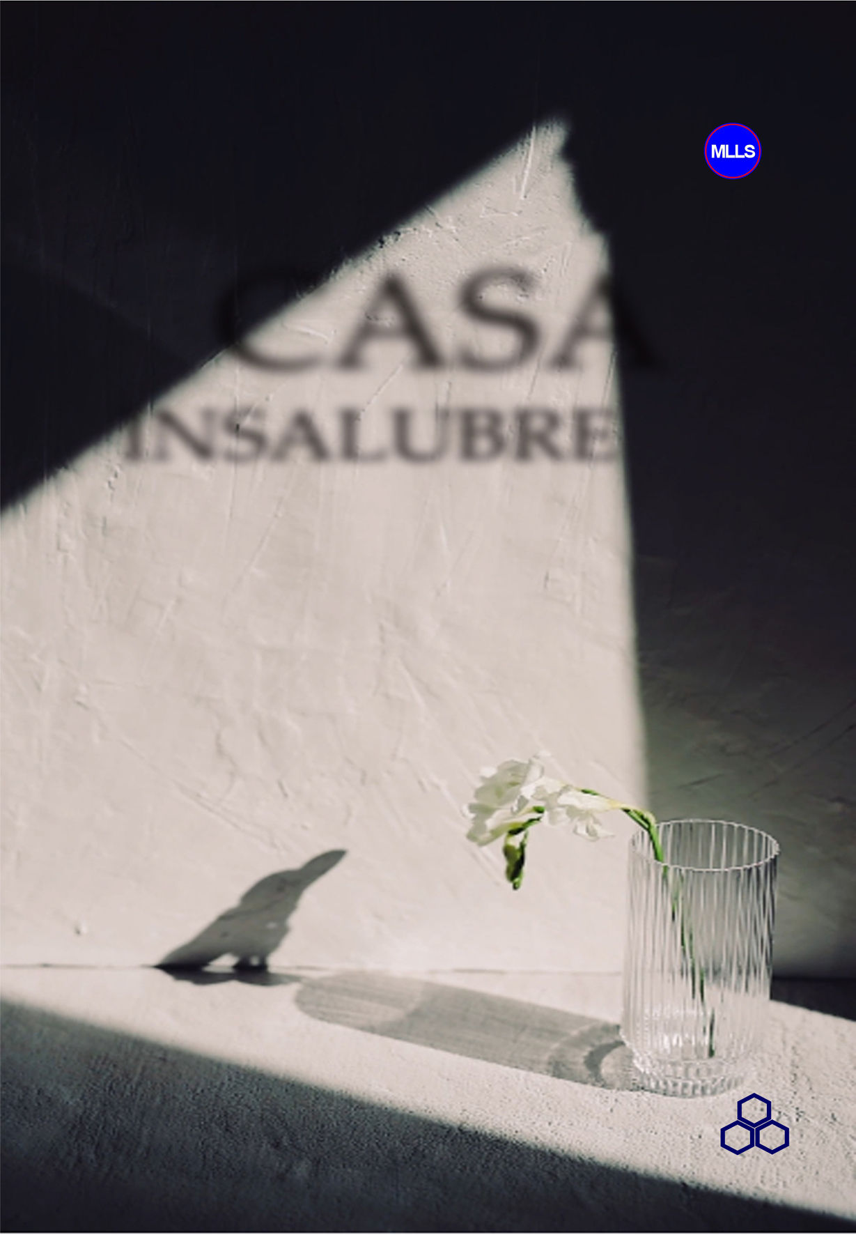 Casa Insalubre