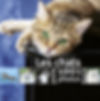 1001 chats