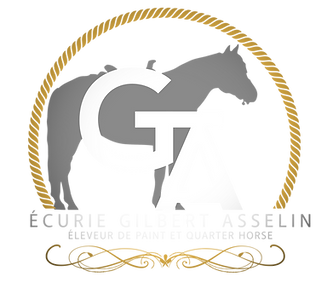 nouveau Logo Ecurie GA (1) (3)_edited_edited.png