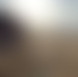 Playa Ventura- Guerrero -