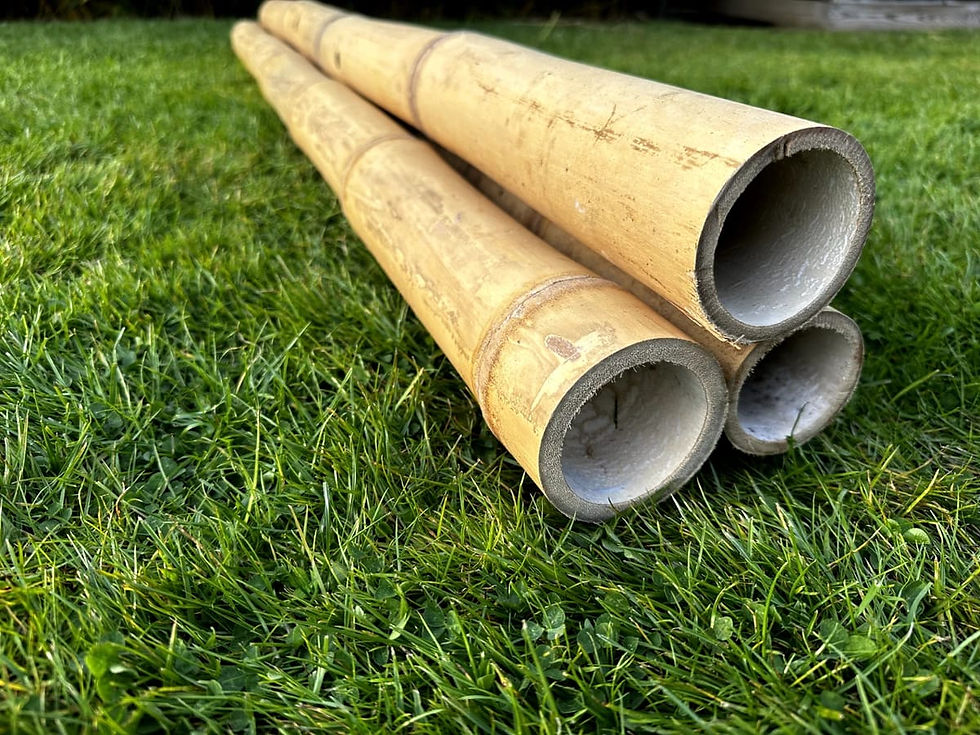 Thumbnail: Apus Natural Bamboo Pole 4-6 cm Diameter Short Lengths - Home Garden Decoration