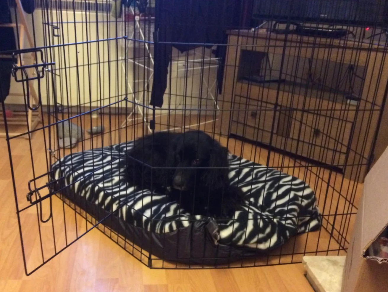 Pet Dog Pen Brand New Puppy Cat Rabbit Foldable Playpen Indoor/Outdoor Enclosure