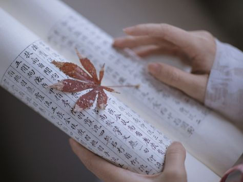reading Chinese script 
