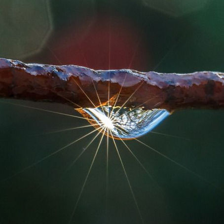 Dream of Light
